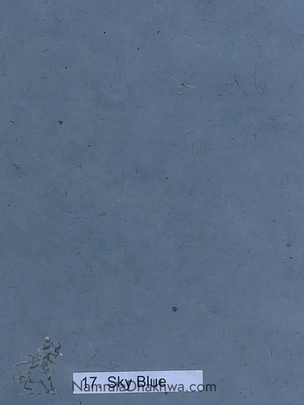 17 Sky Blue